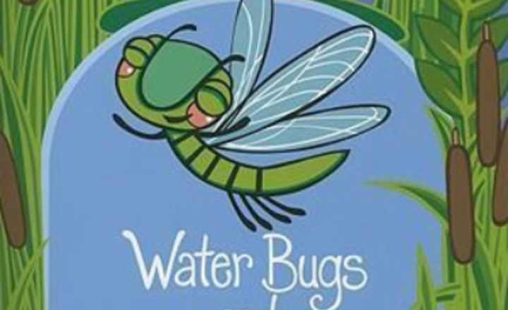 Image of Waterbugs & Dragonflies