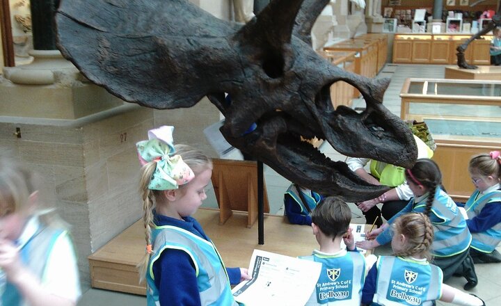 Image of Y1 Visit to the Natural History Museum